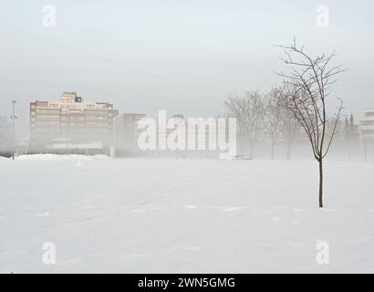 Un paysage hivernal serein montre un parc couvert de neige avec des arbres sans feuilles et des bâtiments enveloppés de brouillard en arrière-plan Banque D'Images