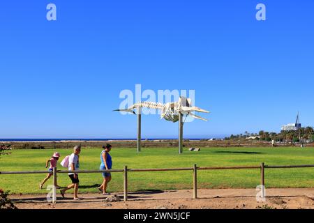 19 novembre 2023 - Morro Jable, Fuerteventura en Espagne : les gens autour du squelette d'un cachalot Banque D'Images