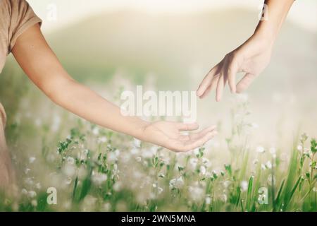 deux mains se rencontrent pour se toucher dans un pré, concept abstrait Banque D'Images