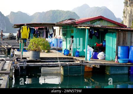 Célèbres villages flottants de la baie d'Halong, Vietnam Banque D'Images