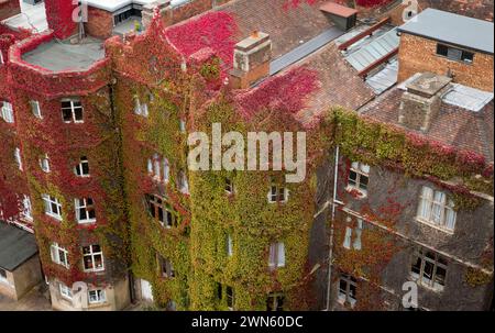 05/09/14 vue depuis Great Malvern Priory surplombant un superbe affichage de couleurs d'automne sur une crampon de virginie qui a grandi sur les murs et sur Banque D'Images