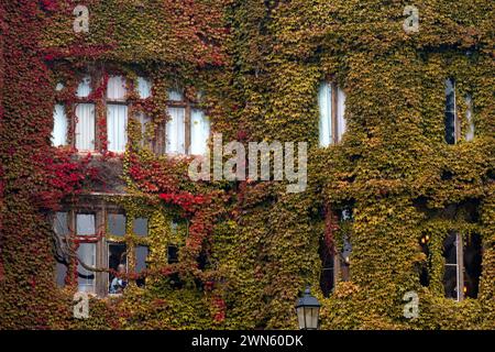 05/09/14 Une superbe exposition de couleurs d'automne sur une crampon de virginie a grandi sur les murs et sur le toit de l'Abbey Hotel Great Malvern, Worc Banque D'Images