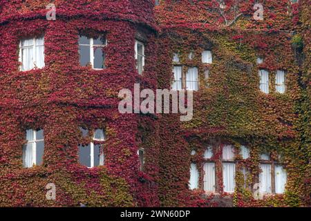 05/09/14 Une superbe exposition de couleurs d'automne sur une crampon de virginie a grandi sur les murs et sur le toit de l'Abbey Hotel Great Malvern, Worc Banque D'Images