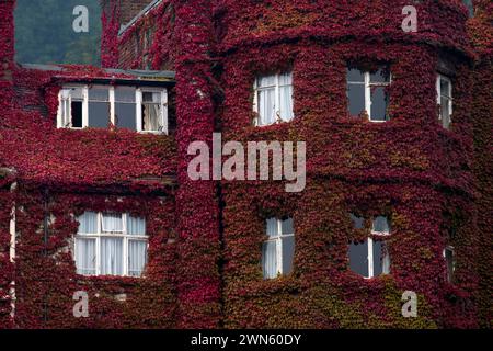 05/09/14 Une superbe exposition de couleurs d'automne sur une crampon de virginie a grandi sur les murs et sur le toit de l'Abbey Hotel Great Malvern, Worc Banque D'Images