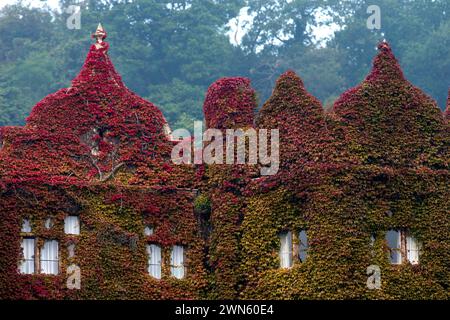 05/09/14 Une superbe exposition de couleurs d'automne sur une crampon de virginie a grandi sur les murs et sur le toit de l'Abbey Hotel Great Malvern, Worc Banque D'Images