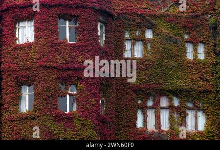 05/09/14 Une superbe exposition de couleurs d'automne sur une crampon de virginie a grandi sur les murs et sur le toit de l'Abbey Hotel Great Malvern, Worc Banque D'Images