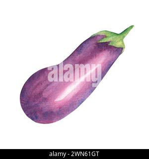 Aubergine. Illustration d'aquarelle dessinée à la main, isolée sur fond blanc. Banque D'Images