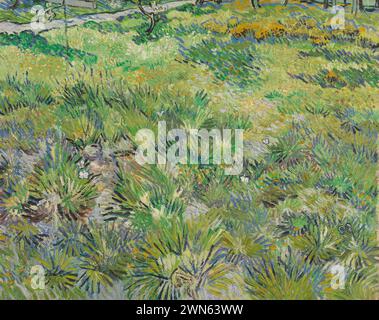 Van Gogh Vincent - herbe longue avec papillons (1890) Banque D'Images