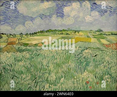 Van Gogh Vincent - Plaine près d'Auvers (1890) Banque D'Images