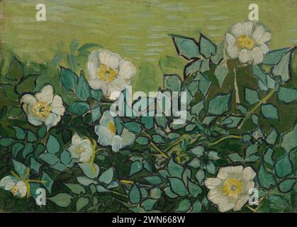 Van Gogh Vincent - Roses sauvages (1889) Banque D'Images