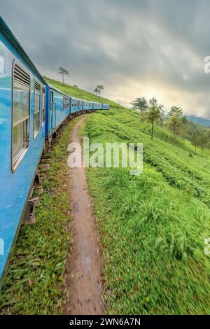 Un train serpente à travers les plantations de thé dans les hauts plateaux du Sri Lanka Banque D'Images