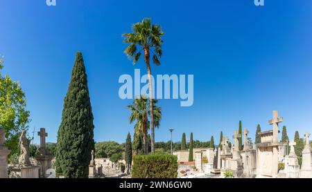 Silence sacré : croix et statues dans un paysage paisible de cimetière Banque D'Images