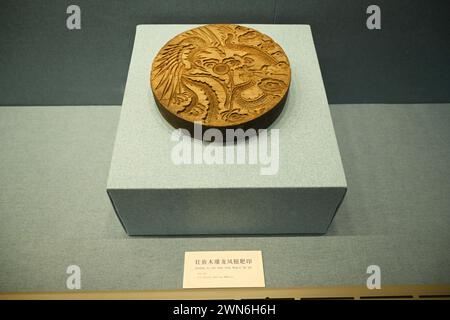 NANNING, CHINE - 27 FÉVRIER 2024 - Une collection de plus de 70 éléments de dragon reliques exposées au Musée des nationalités du Guangxi à Nanning Banque D'Images
