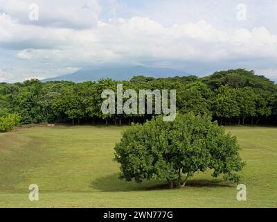 Parc archéologique de San Andrés au Salvador Banque D'Images