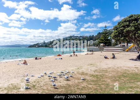 Freyberg Beach, Oriental Bay, Wellington, Nouvelle-Zélande Banque D'Images