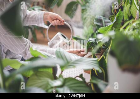 Une jeune femme aime prendre soin des fleurs. Arroser les plantes d'intérieur et les admirer. Banque D'Images