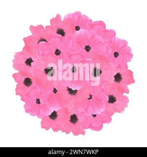 Bouquet de fleurs de coquelicot rose dessiné à l'aquarelle à la main isolé sur fond blanc. Peut être utilisé pour scrapbook, étiquette et autres produits imprimés Banque D'Images