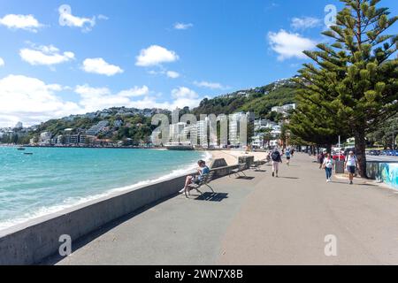 Promenade sur la plage, Oriental Bay Beach, Oriental Bay, Wellington, Nouvelle-Zélande Banque D'Images