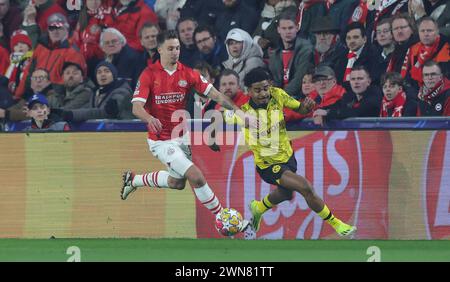 Eindhoven, Niederlande. 20 février 2024. firo : 20/02/2024, football, football, UEFA CHAMPIONS LEAGUE, saison 2023/2024, UCL, CL, ronde 16, PSV Eindhoven - BVB, Borussia Dortmund Ian MAATSEN, BVB/dpa/Alamy Live News Banque D'Images