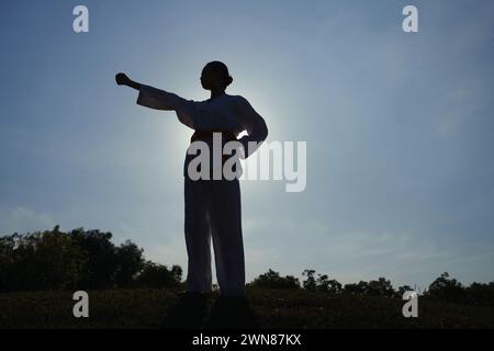 Silhouette de sportive étirant le bras lors de la pratique de la posture taekwondo Banque D'Images