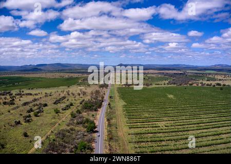 Vue aérienne d'une route rurale traversant des terres agricoles avec des champs irrigués Banque D'Images