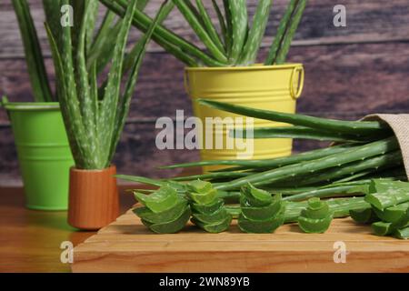 Les plantes d'aloe vera et les tranches disposées sur une table en bois Banque D'Images