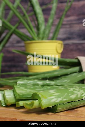 Un gros plan de feuilles d'aloe vera tranchées sur une surface de table Banque D'Images