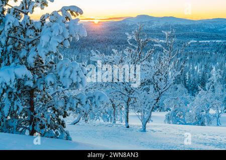 Le soleil se couche derrière une chaîne de montagnes sereine, projetant une lueur chaude sur une forêt norvégienne tranquille recouverte de neige. Les arbres, lourds avec une ponte fraîche Banque D'Images