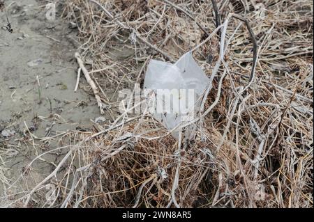 Crise environnementale et pollution plastique dans les zones agricoles Banque D'Images