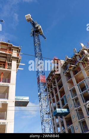 Nouveaux appartements en construction le long de Ocean Drive Leith Banque D'Images