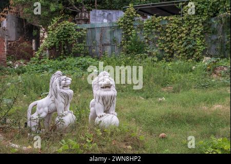 Statues de deux Lions gardiens chinois, ou Lions gardiens impériaux. Les statues sont posées dans un champ sauvage et abandonné. Banque D'Images