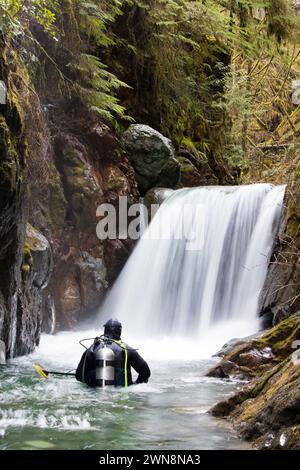 Vue arrière d'un plongeur debout dans la rivière regardant la cascade Banque D'Images