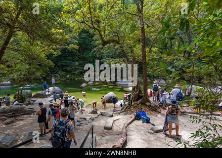 Les gens nagent dans la rivière Mossman dans les gorges tropicales de Mossman dans la forêt tropicale de Daintree et le parc national dans l'extrême nord du Queensland, Australie Banque D'Images