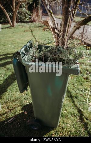 Taille de jardin au début du printemps avec un récipient vert Banque D'Images