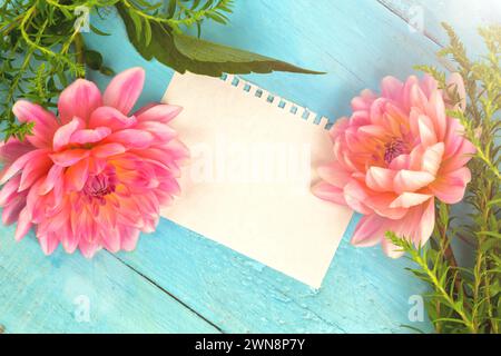 fond d'été. dahlias rose clair sur un fond bleu en bois, morceau de papier pour le texte. boîte avec un cadeau. Fête des mères, Fête des femmes, Festiva du printemps Banque D'Images