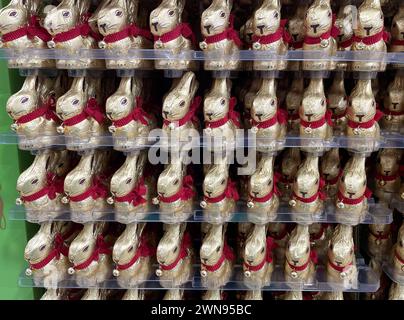 Bayern, Deutschland 01. März 2024 : hier der Blick im Supermarkt, Discounter auf viele Lindt, Goldhase, Schokolade, Ostern, Osterhase, Süssigkeiten, Goldhasen, gestapelt *** Bavière, Allemagne 01 mars 2024 Voici la vue dans le supermarché, escounter sur beaucoup Lindt, lapin d'or, chocolat, Pâques, lapin de Pâques, bonbons, lapins en or, empilés Banque D'Images