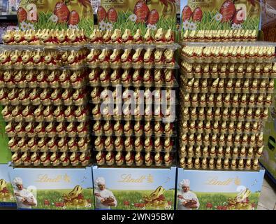 Bayern, Deutschland 01. März 2024 : hier der Blick im Supermarkt, Discounter auf viele Lindt, Goldhase, Schokolade, Ostern, Osterhase, Süssigkeiten, Goldhasen, gestapelt *** Bavière, Allemagne 01 mars 2024 Voici la vue dans le supermarché, escounter sur beaucoup Lindt, lapin d'or, chocolat, Pâques, lapin de Pâques, bonbons, lapins en or, empilés Banque D'Images