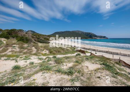 Obstacles au confinement des dunes, Cala Agulla, zone naturelle d'intérêt particulier, municipalité de Capdepera, Majorque, Îles Baléares, Espagne Banque D'Images