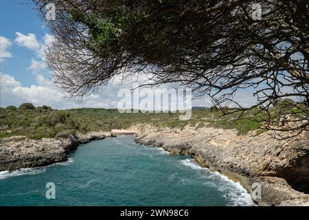 Cala Pilota, Manacor, Majorque, Iles Baléares, Espagne Banque D'Images