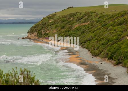 Surplombant l'océan Pacifique et la plage dans la réserve pittoresque de Bushy Beach, qui abrite une colonie de pingouins aux yeux jaunes, près d'Oamaru, en Nouvelle-Zélande. Banque D'Images