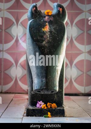 Feb.14th2024 Uttarakhand, Inde, Ancient artisanalement sculptures en pierre Nandi compagnon de route symbolique sur Lord Shiva, Ekeshwar Mahadev Temple, Pauri Garh Banque D'Images