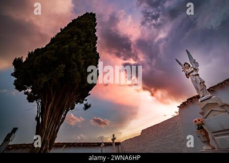 Ange et cyprès avec le coucher de soleil en arrière-plan dans le cimetière de l'Alhambra Banque D'Images