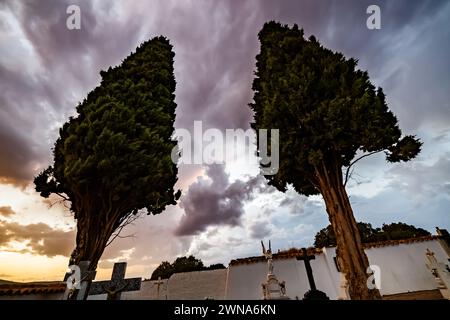 Paire de cyprès au cimetière de l'Alhambra Banque D'Images
