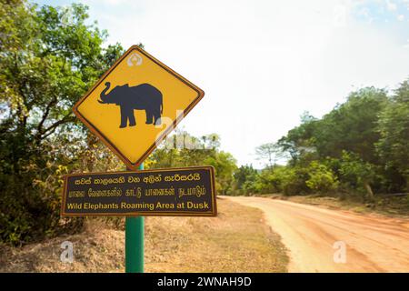 Un panneau routier avertissant contre les dangers des éléphants, Sigirya, Sri Lanka. Banque D'Images