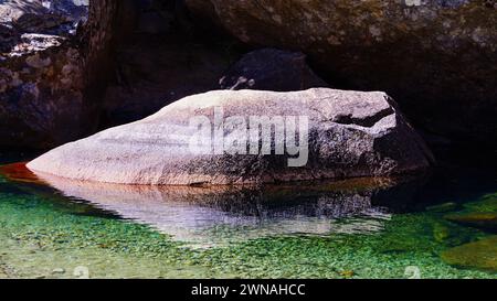 Boulder et c'est le reflet dans l'eau. Banque D'Images