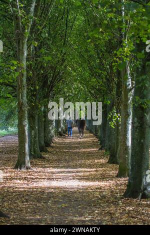 Avenue des arbres avec cavalier, Coate Water Banque D'Images