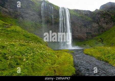 Chutes de Seljalandsfoss en saison d'afficher, de l'Islande. Paysage islandais. Banque D'Images
