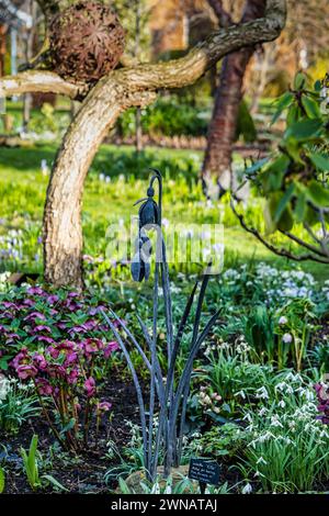 Gouttes de neige et ornement, jardin Shepherd House, Inveresk, East Lothian, Écosse, ROYAUME-UNI Banque D'Images