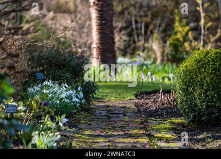 Sentier et chutes de neige au jardin Shepherd House, Inveresk, East Lothian, Écosse, Royaume-Uni Banque D'Images