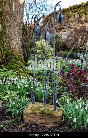 Gouttes de neige et ornement, jardin Shepherd House, Inveresk, East Lothian, Écosse, ROYAUME-UNI Banque D'Images